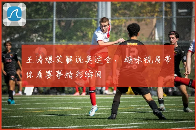 王涛爆笑解说奥运会,趣味视角带你看赛事精彩瞬间