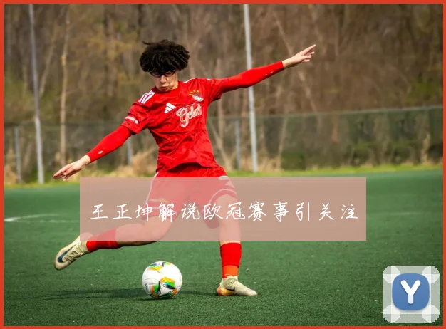 王正坤解说欧冠赛事引关注
