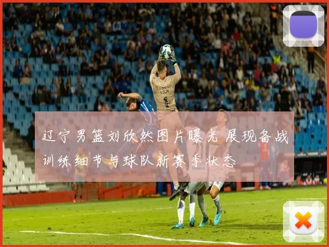 辽宁男篮刘欣然图片曝光 展现备战训练细节与球队新赛季状态