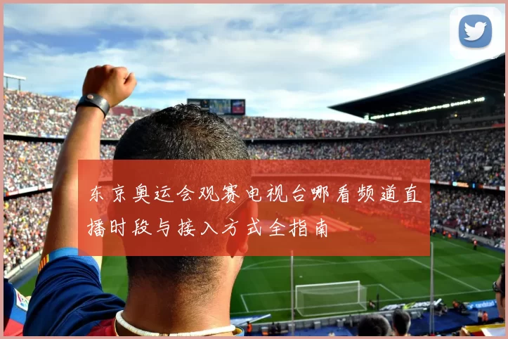 东京奥运会观赛电视台哪看频道直播时段与接入方式全指南